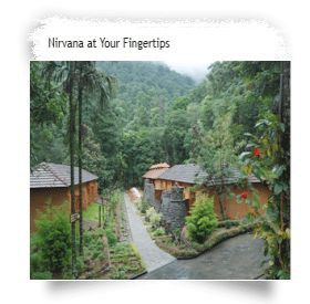 Blue Ginger Wayanad Resorts المظهر الخارجي الصورة